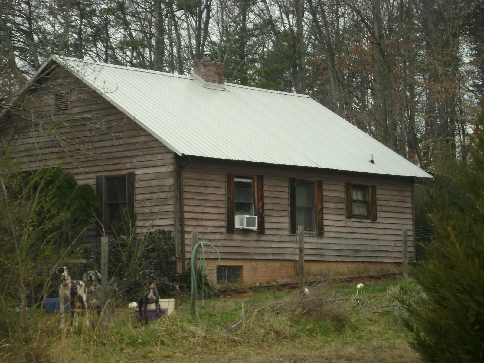 White metal roof on an old wood sided farmhouse, from a Asphalt Shingle Roof Repair job in Burgoon
